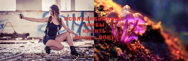 крисы Переславль-Залесский
