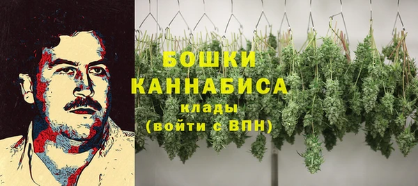 крисы Переславль-Залесский