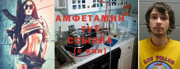 крисы Переславль-Залесский