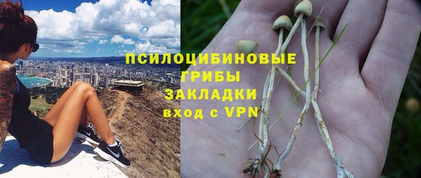 крисы Переславль-Залесский