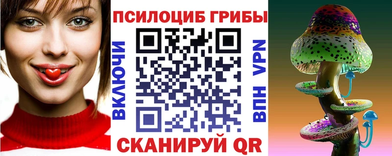 Псилоцибиновые грибы Cubensis  Тотьма 