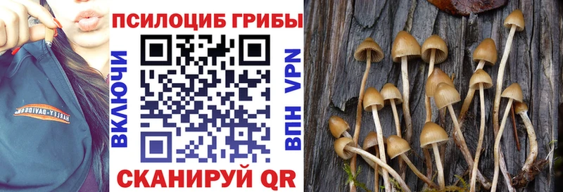 Псилоцибиновые грибы мухоморы Тотьма